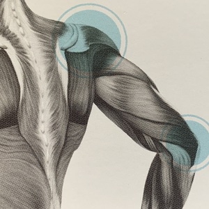 Isabelle PESCE  Tavaux, Ostéopathe