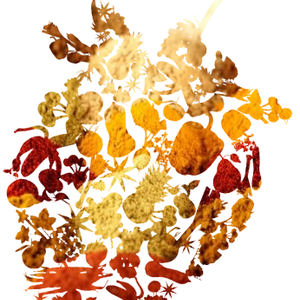 Philis Mélissa Sarrians, Diététicien