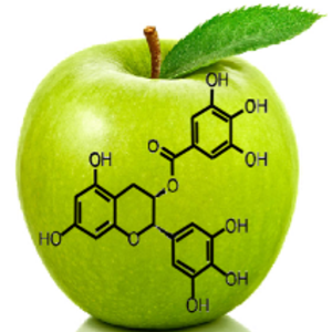 NUTRITERAPIE-DIETETIQUE-SANTE Puteaux, Diététicien