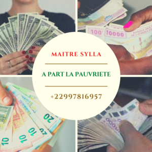 PORTEFEUILLE MAGIQUE EN EURO whatsapp +22997816957 Paris 9, Kinésiologue